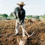 An African farmer wearing a straw hat tills the soil with a spade in a rural countryside field.